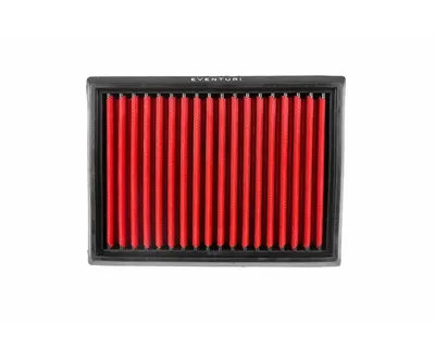 Eventuri Panel Filter für BMW M2/M235i (F87/F22/F23) N55