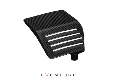 Eventuri Side Panel Carbon für Honda Civic Gen.9 Type-R (FK2) 310PS