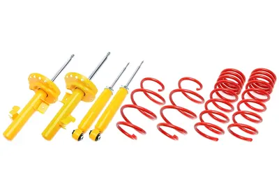 TA Technix Sportfahrwerk für Ford Mondeo IV Turnier bis 1010kg maximale Vorderachslast (BA7) – 30/30mm – EVOFO116