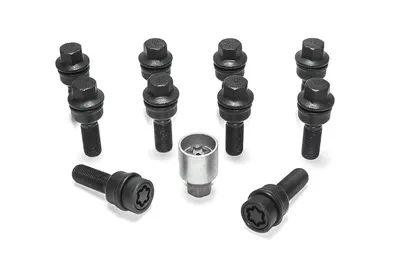 H&R Felgenschloss-Set M14 mit beweglichem Kugelbund R14mm, M14x1,5, Schaft 55 mm, schwarz – B1455507ASET