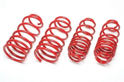 TA Technix Tieferlegungsfedern für Audi 80 Avant 4-Zyl / TD (B4) – 60/40mm – EVOAU025F