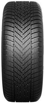 Dunlop Winter 3PMSF