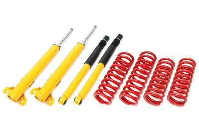 TA Technix Sportfahrwerk für Mercedes Benz 190er 2.3-2.6l Benziner / 2.5l D W201 – 45/45mm – EVOMB003