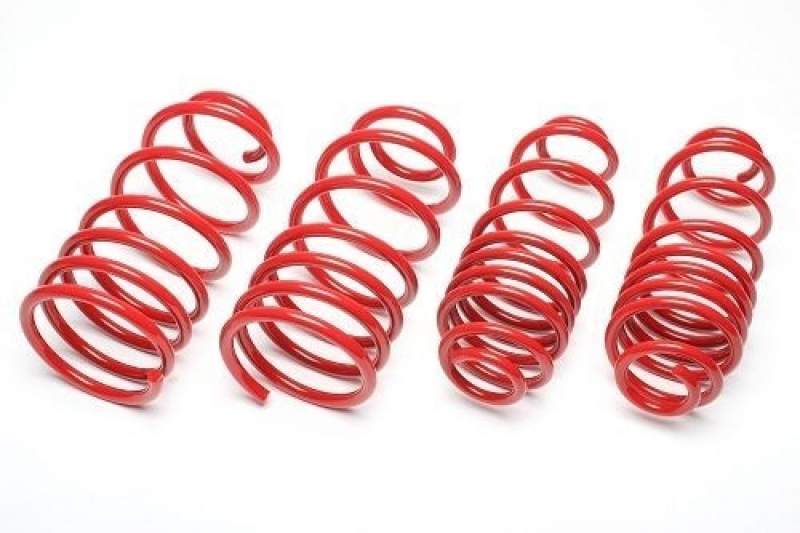 TA Technix Tieferlegungsfedern BMW 3er Touring bis 940kg maximale Vord – EVOBM194F/1