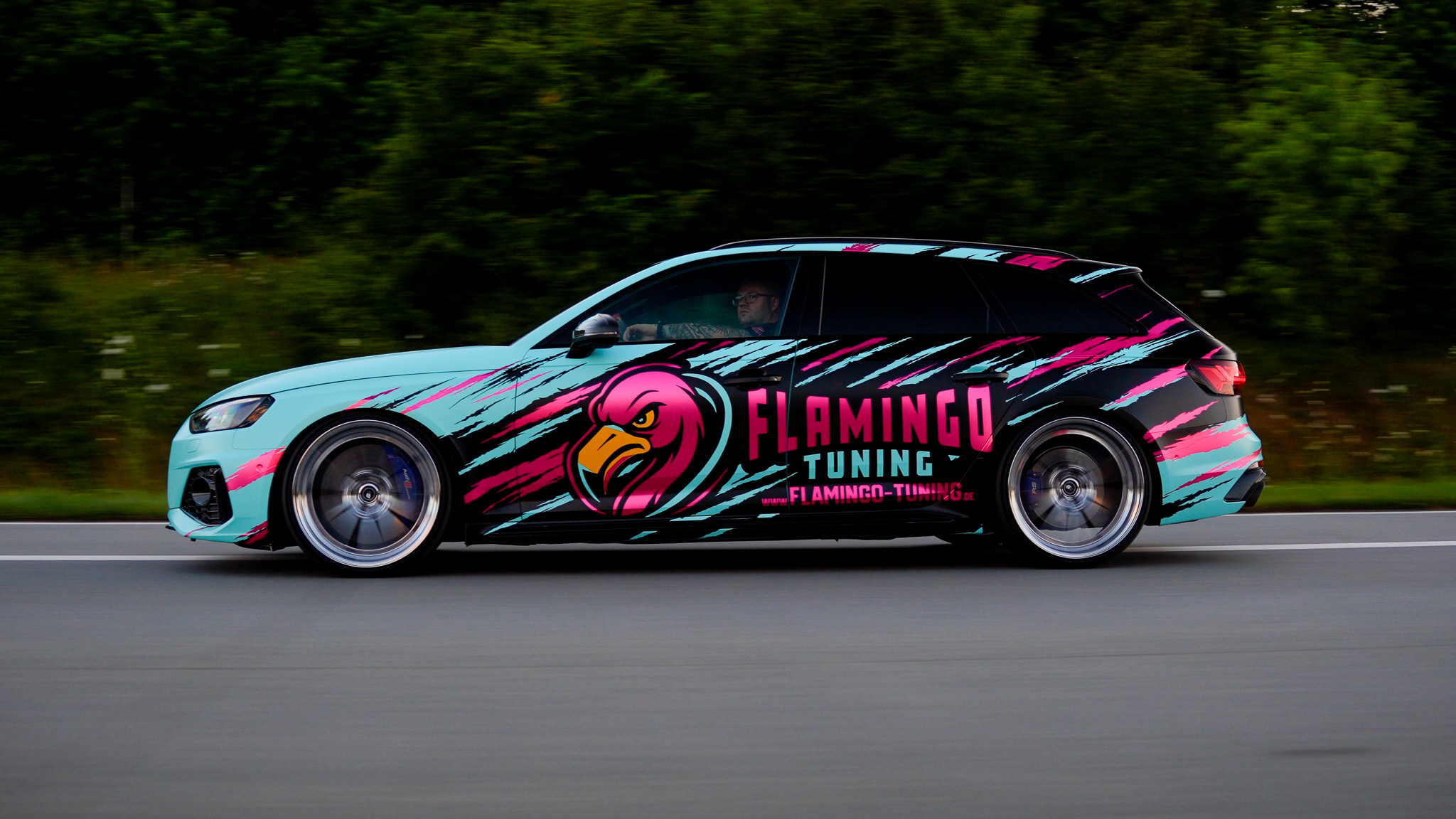 Flamingo Tuning