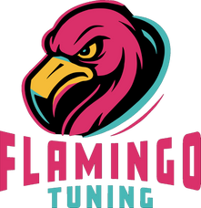 Flamingo Tuning GmbH