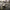 Silence 3.5 - Seat Leon Cupra ST